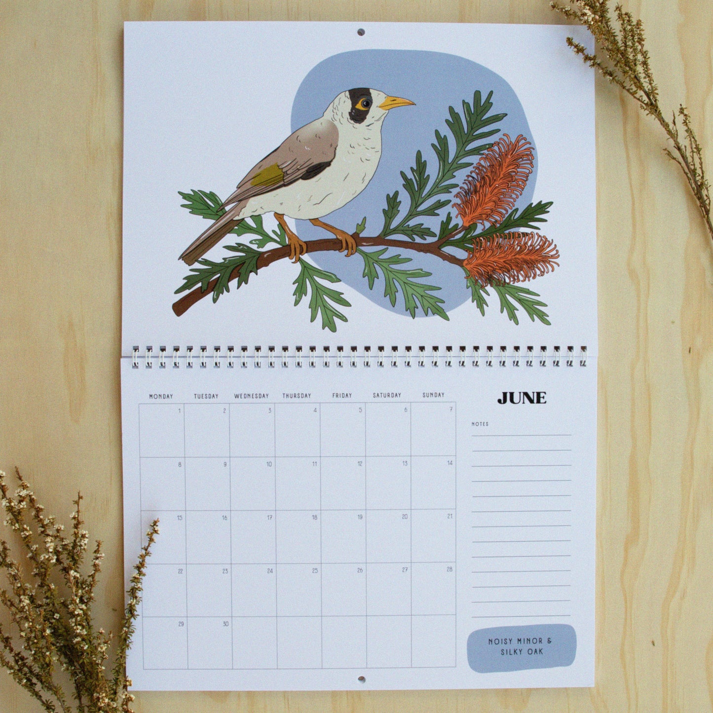 2026 Australian Bird Wall Calendar