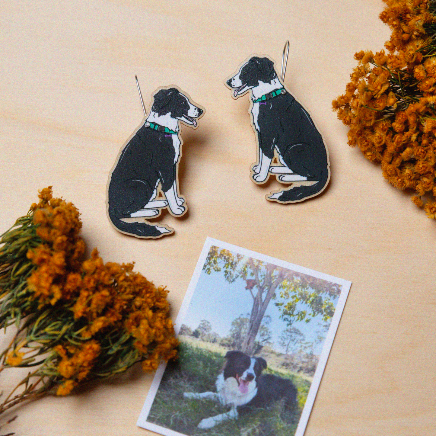 A small photo of a black and white border collie lies beside a pair of custom earrings depicting the same dog.
