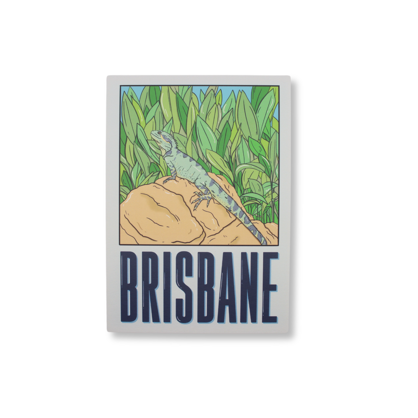 Brisbane Water Dragon Postcard