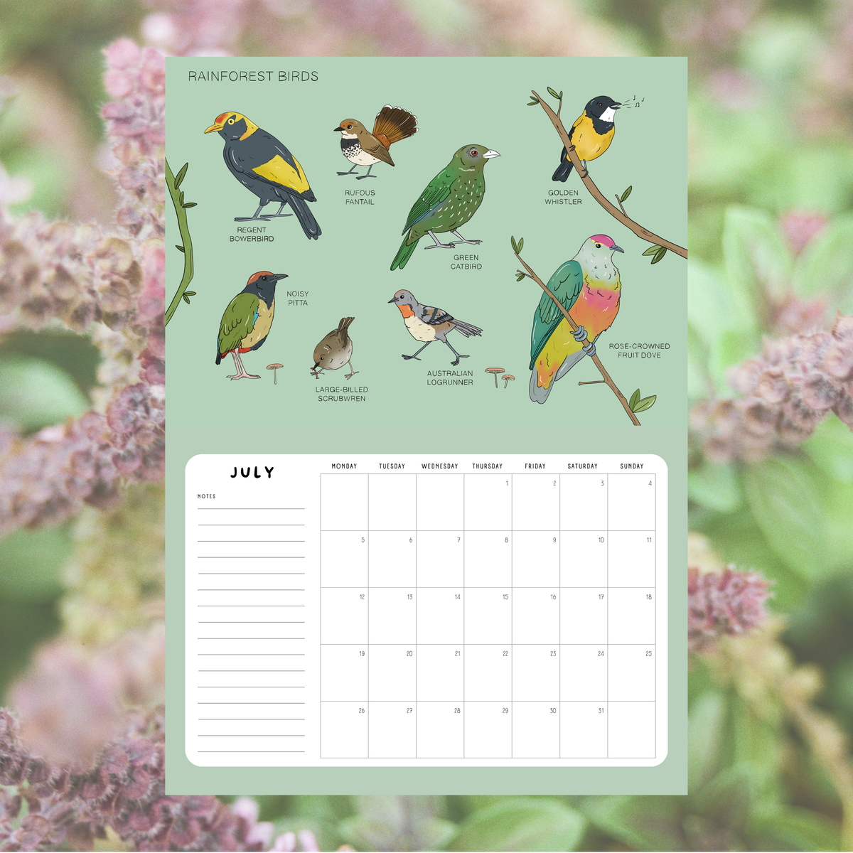 2027 Australian Bird Wall Calendar
