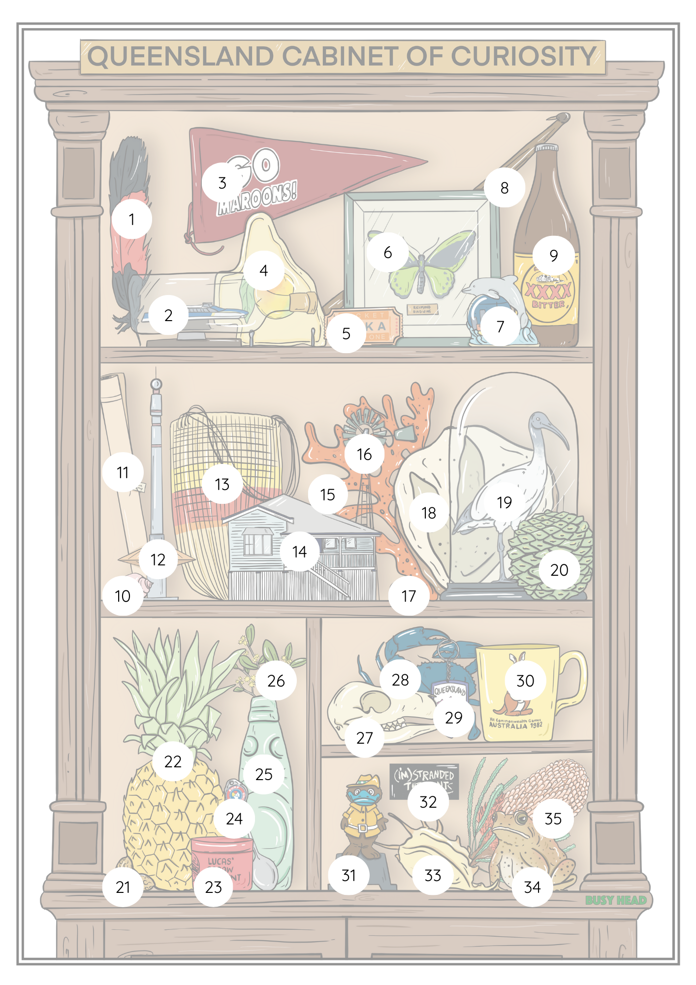 Queensland Cabinet of Curiosity Postcard