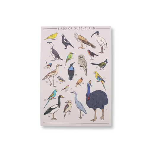 Birds of Queensland Postcard