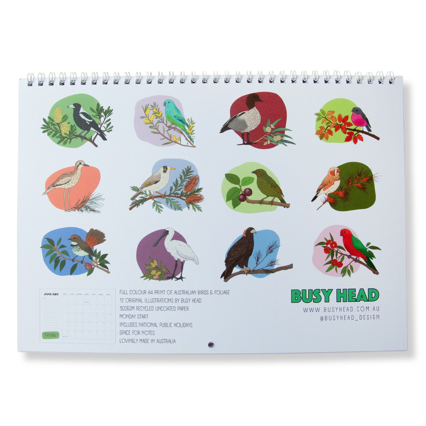 2026 Australian Bird Wall Calendar
