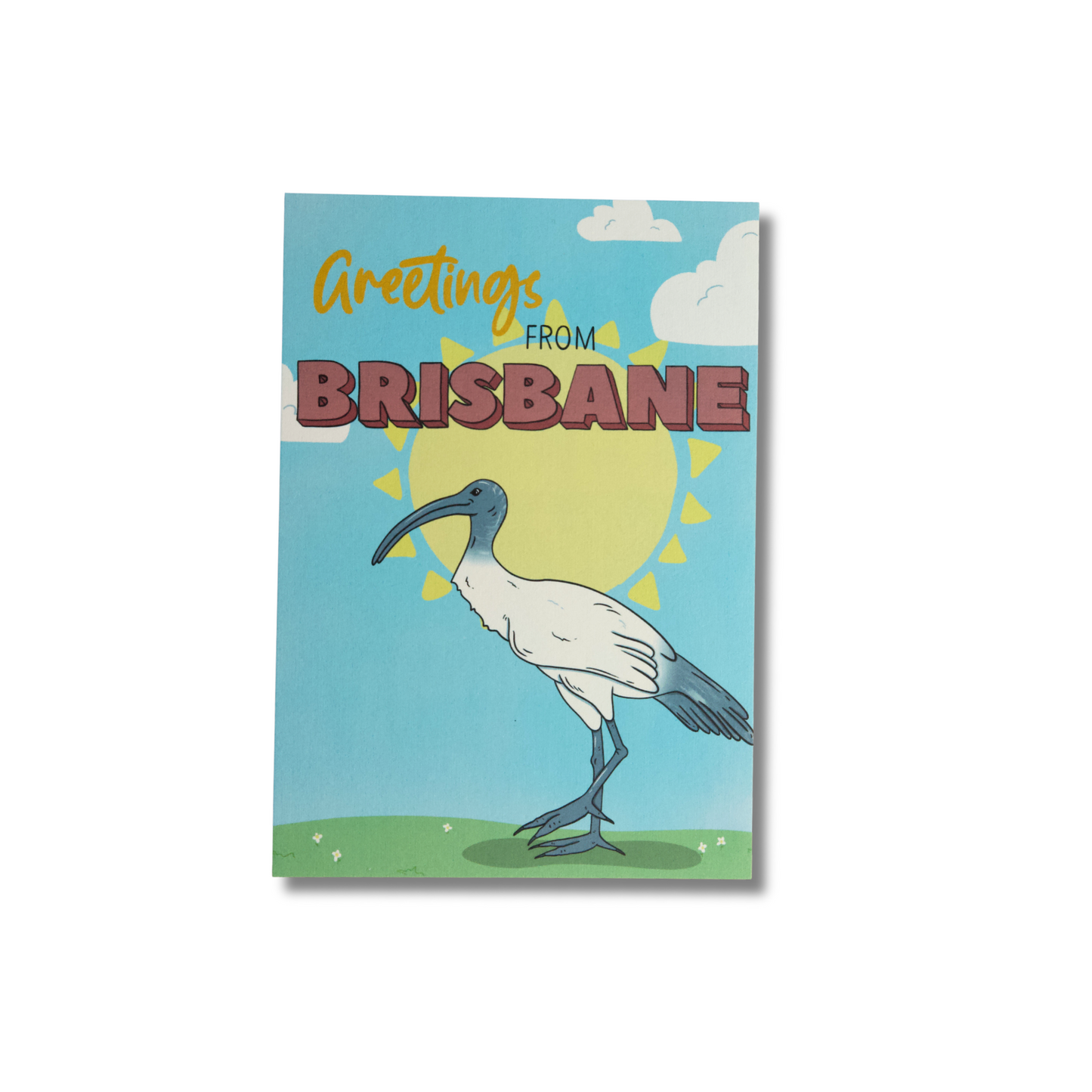 Brisbane Ibis Postcard