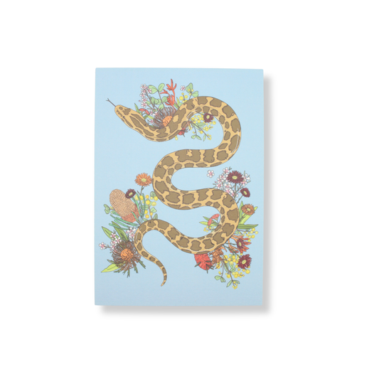 Coastal Carpet Python Postcard