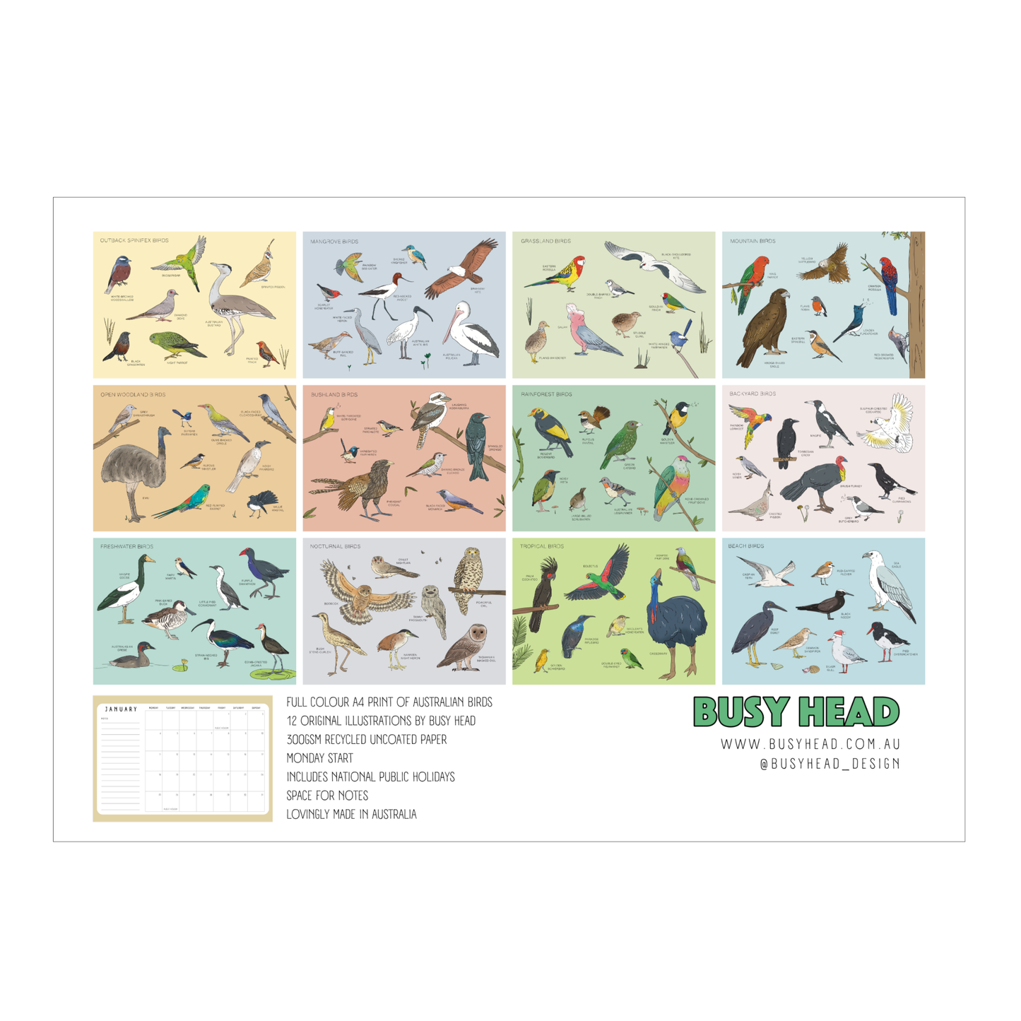 2027 Australian Bird Wall Calendar *PREORDER*