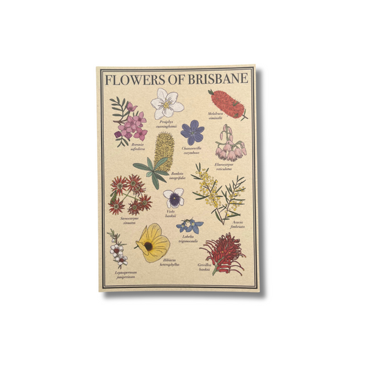 Flowers of Brisbane Postcard