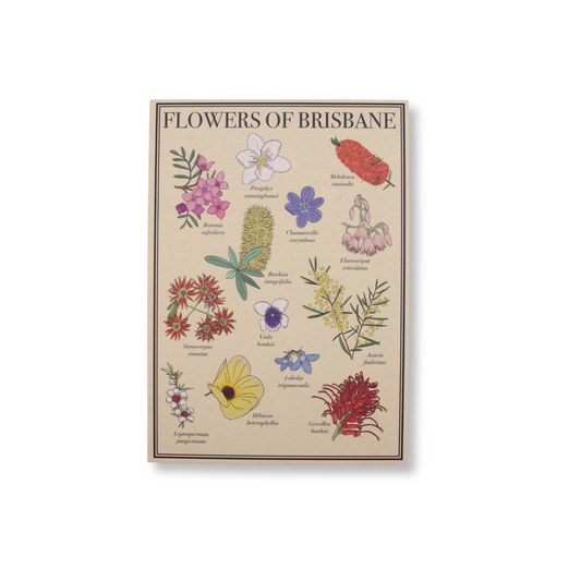 Flowers of Brisbane Postcard