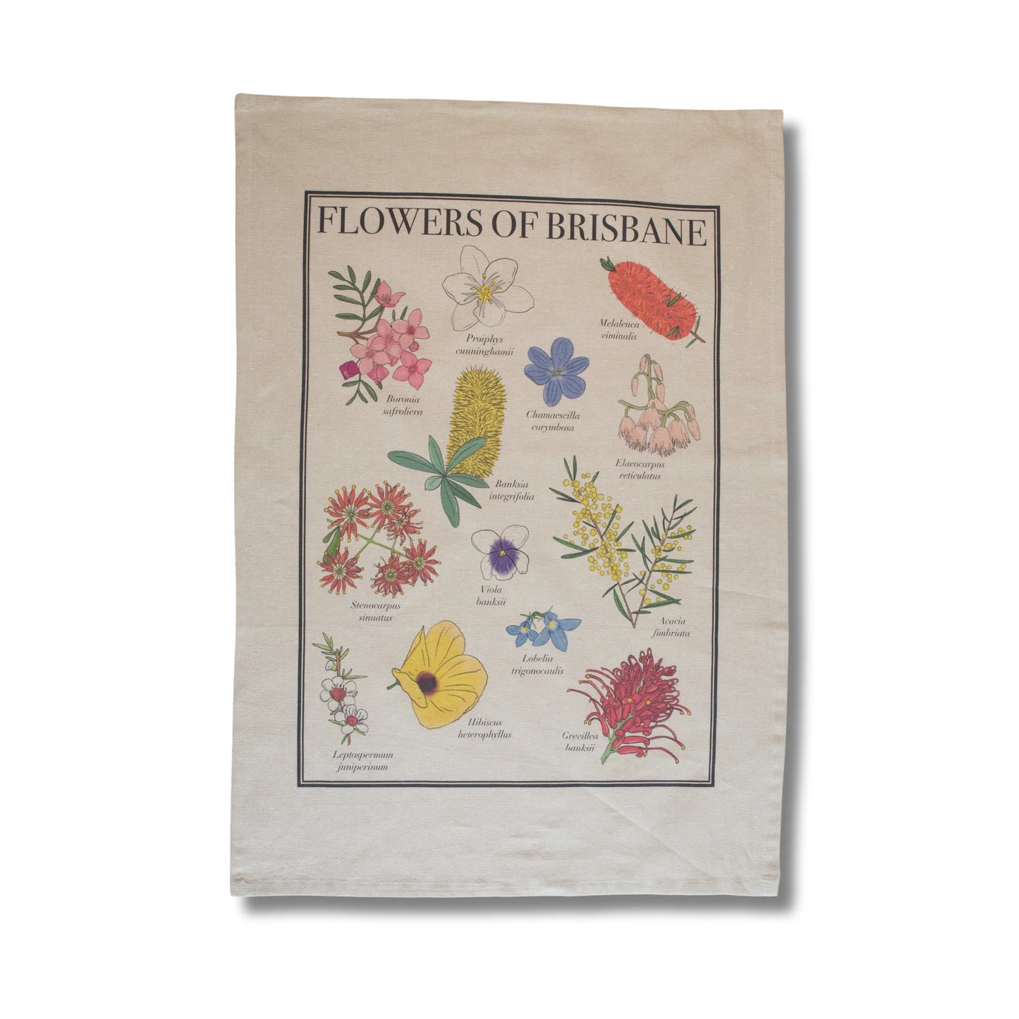 Flowers of Brisbane Tea Towel