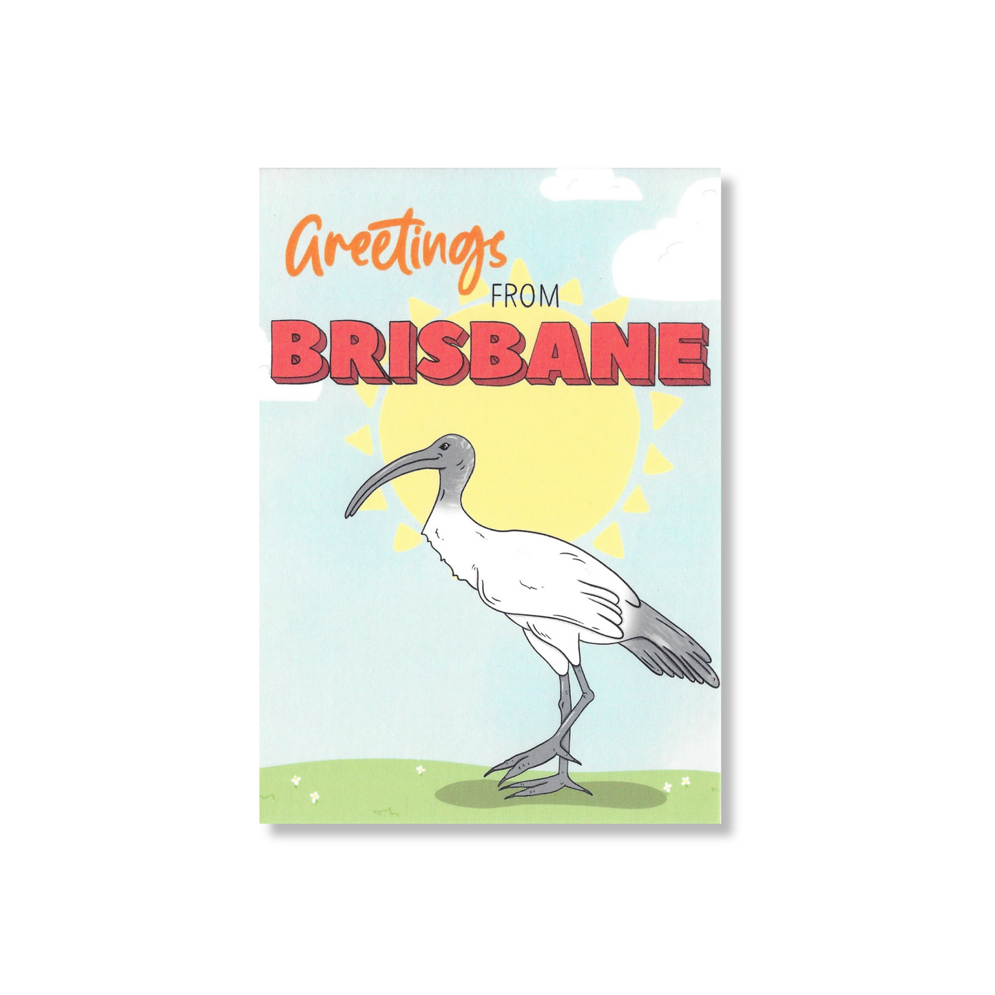 Brisbane Ibis Postcard