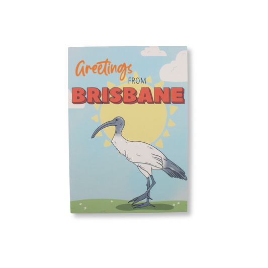 Brisbane Ibis Postcard