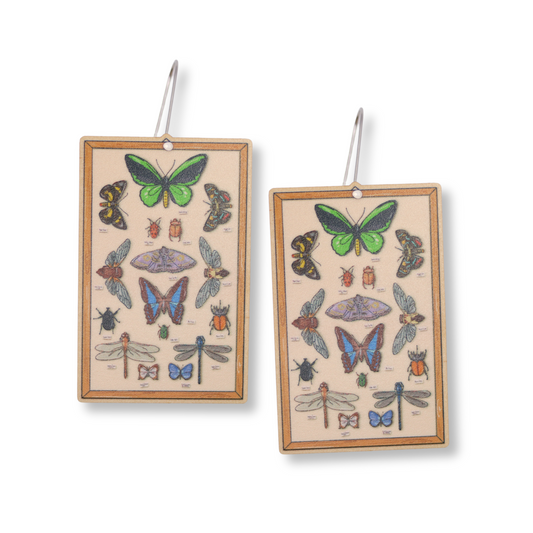 Insect Cabinet Dangle Earrings