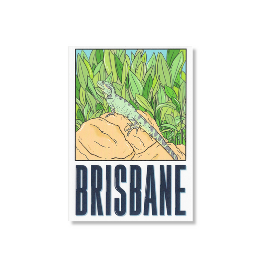 Brisbane Water Dragon Postcard